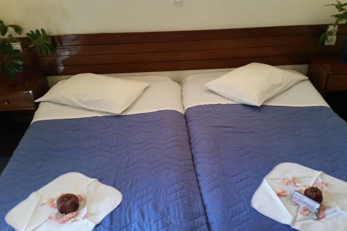 Habitación económica doble, 1 cama doble o 2 individuales | Tabla de planchar con plancha y wifi gratis