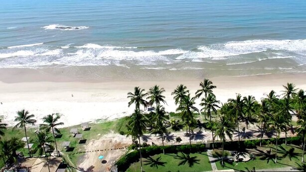 A beach with palm trees and a clear view of the ocean. - Pousada Lua e Mar (Ilhéus)