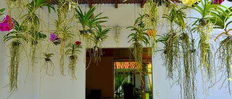 A room with hanging plants and a tiled floor.