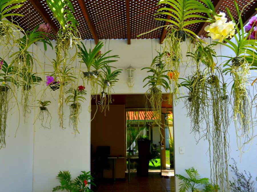 Una habitación con plantas colgantes y suelo de baldosas.