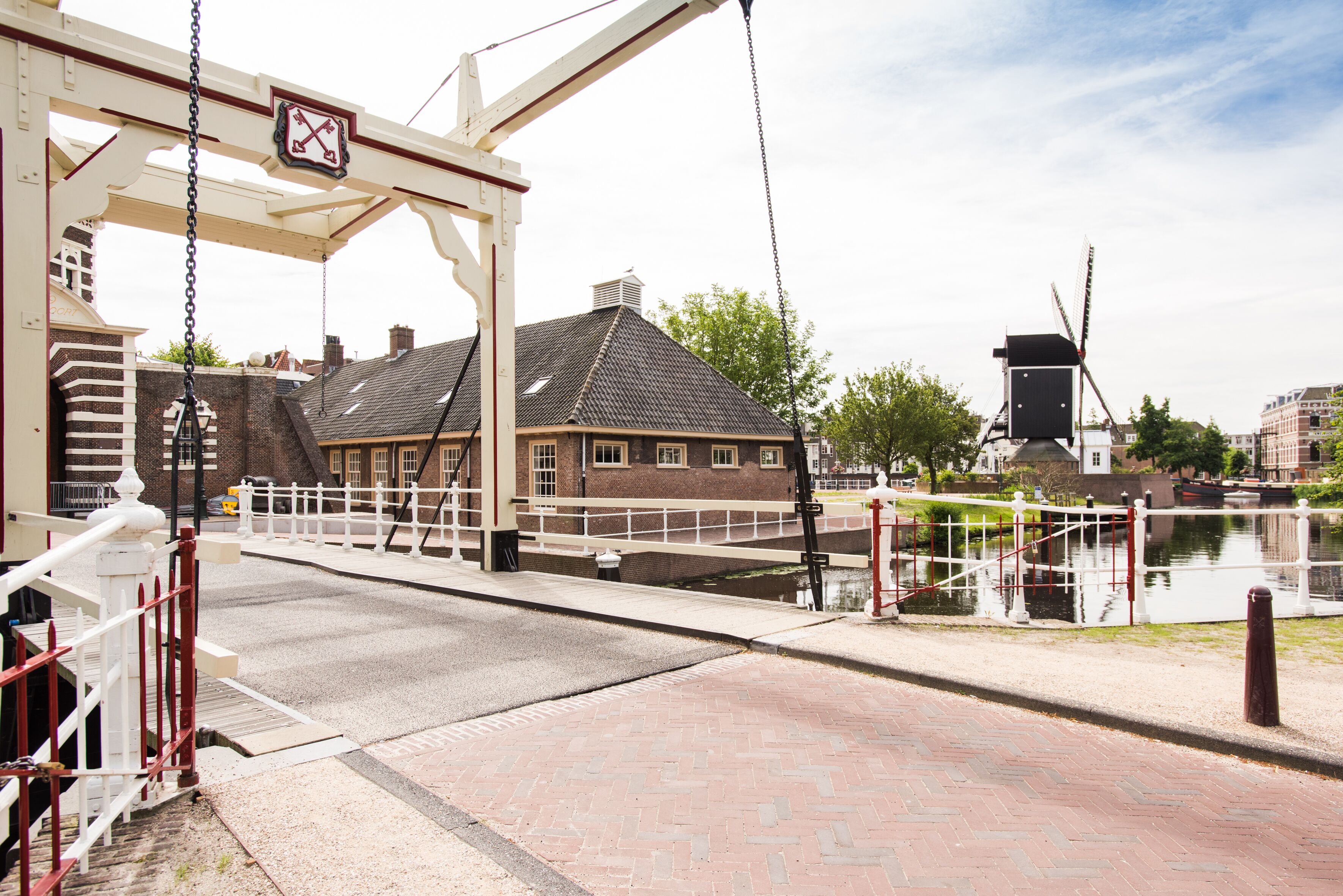 outdoor wedding area