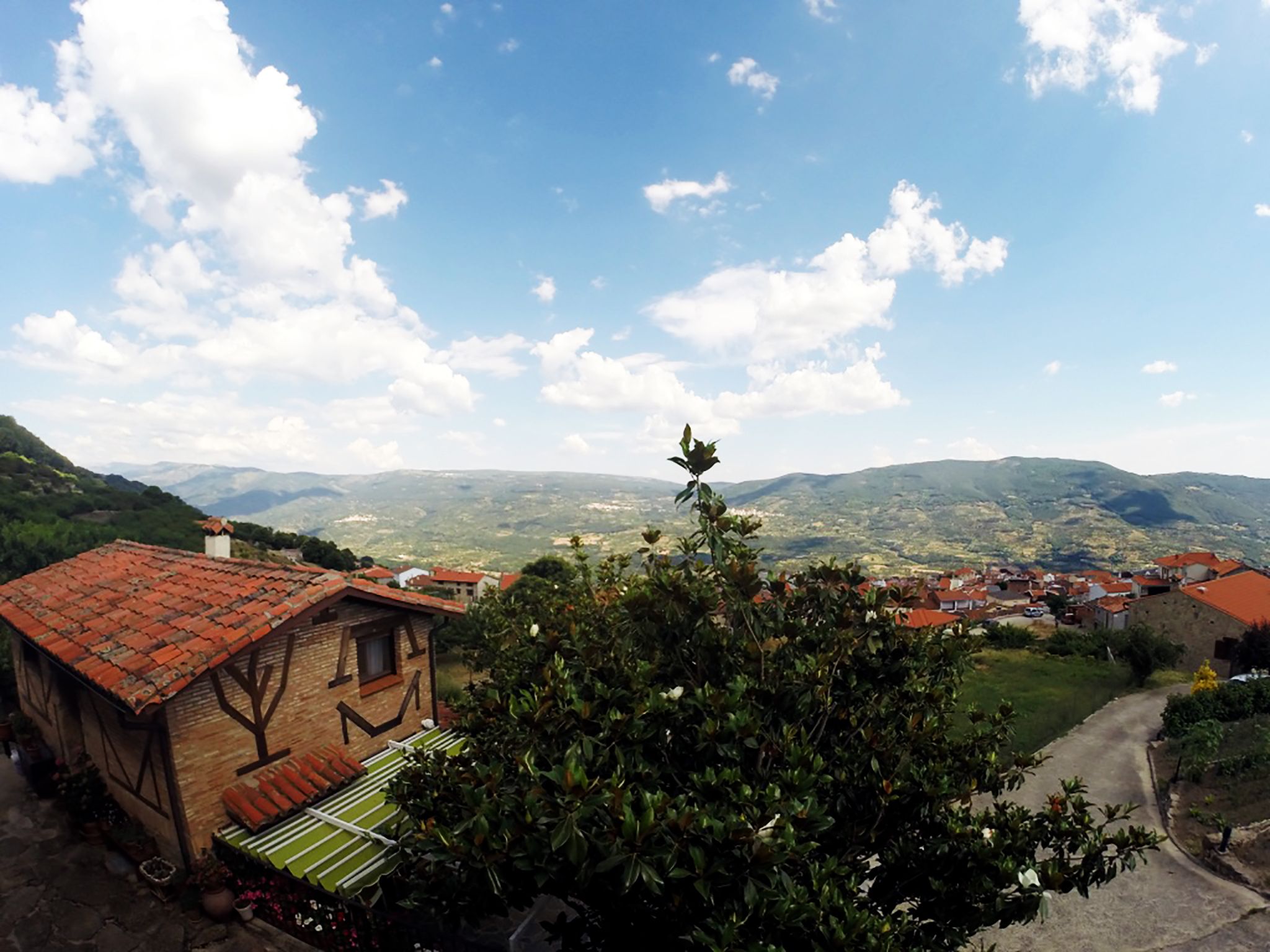 Vista de uma aldeia com edifícios tradicionais, uma árvore imponente em primeiro plano e uma paisagem montanhosa ao fundo.