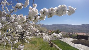 Vista de un árbol floreciente con flores blancas, un muro de piedra y una lejana perspectiva de casas y montañas.