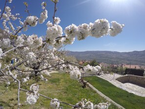 Garden - Casa Rural El Regajo Valle del Jerte (El Torno)
