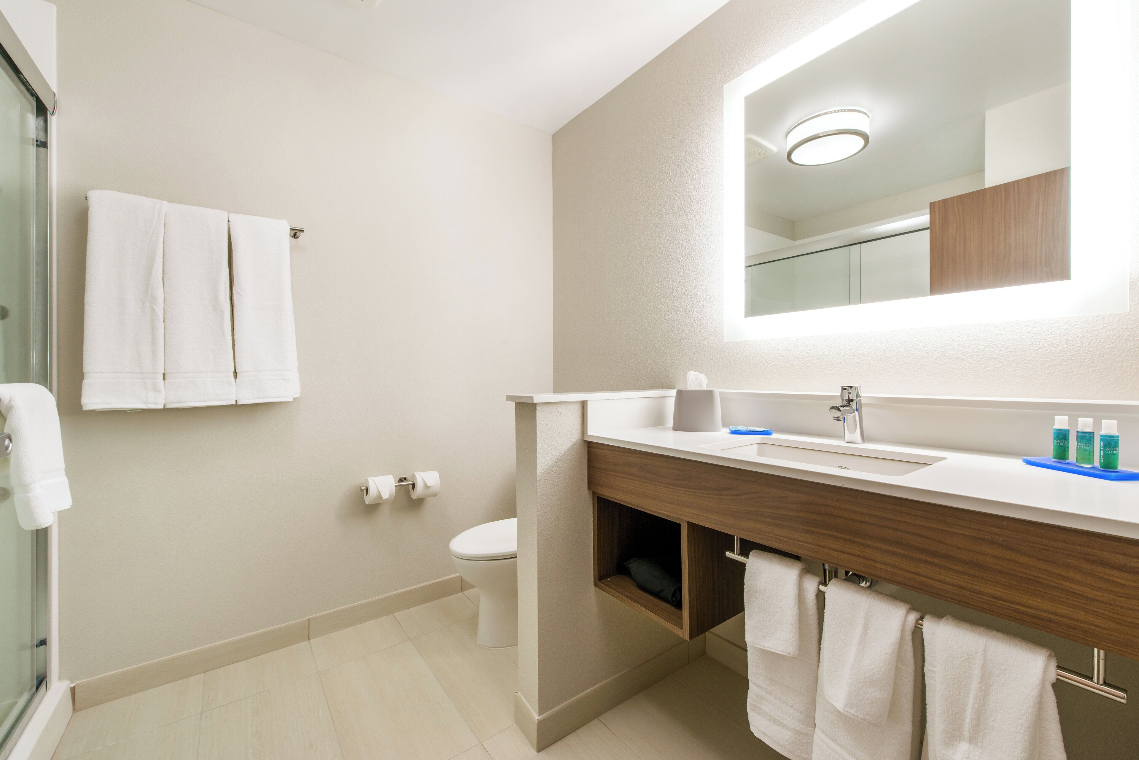 A modern bathroom with a shower, toilet, and sink.