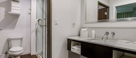 A modern bathroom with a glass shower enclosure, a white toilet, and a vanity with a mirror.