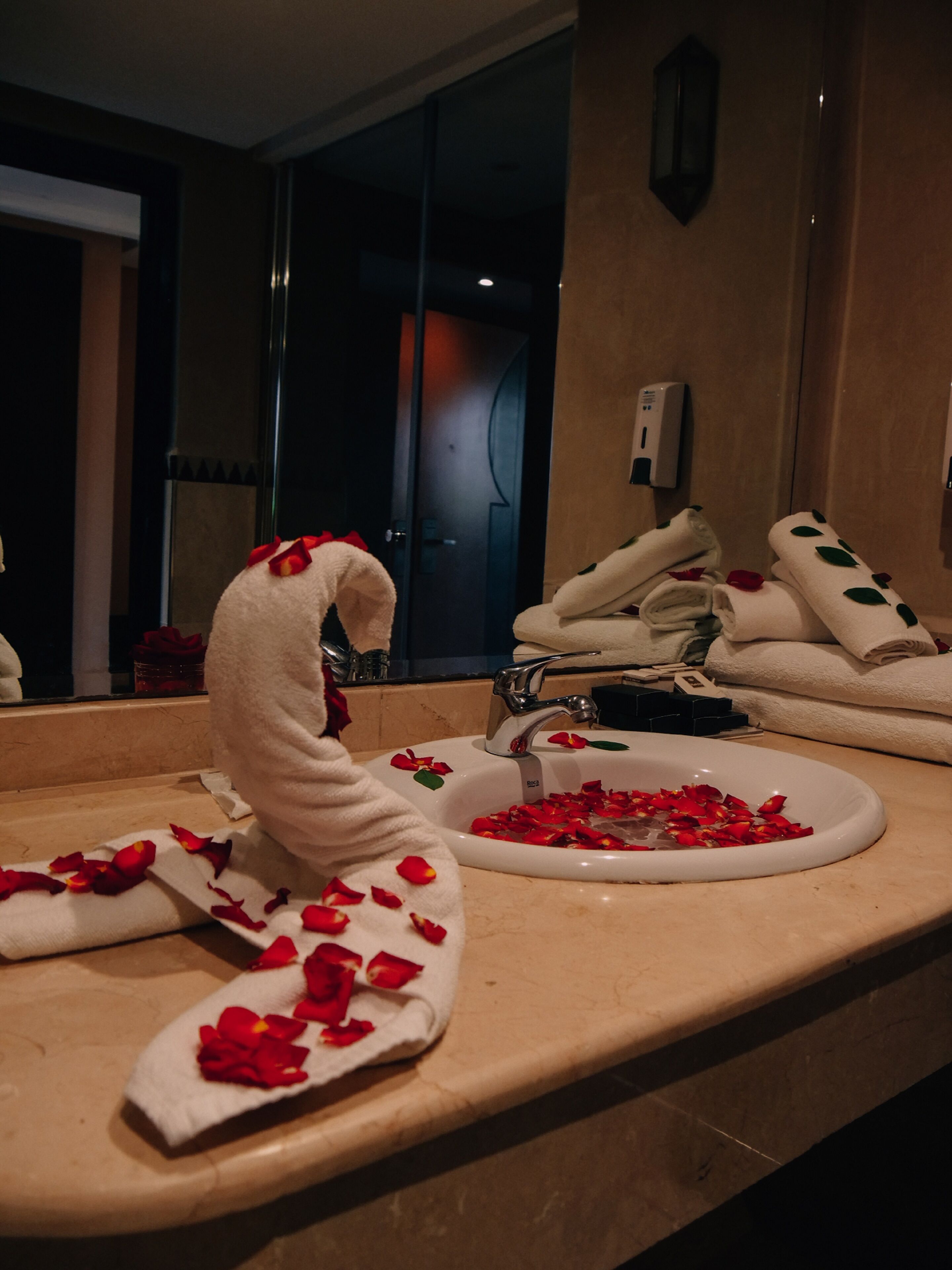 Foto - Club Paradisio