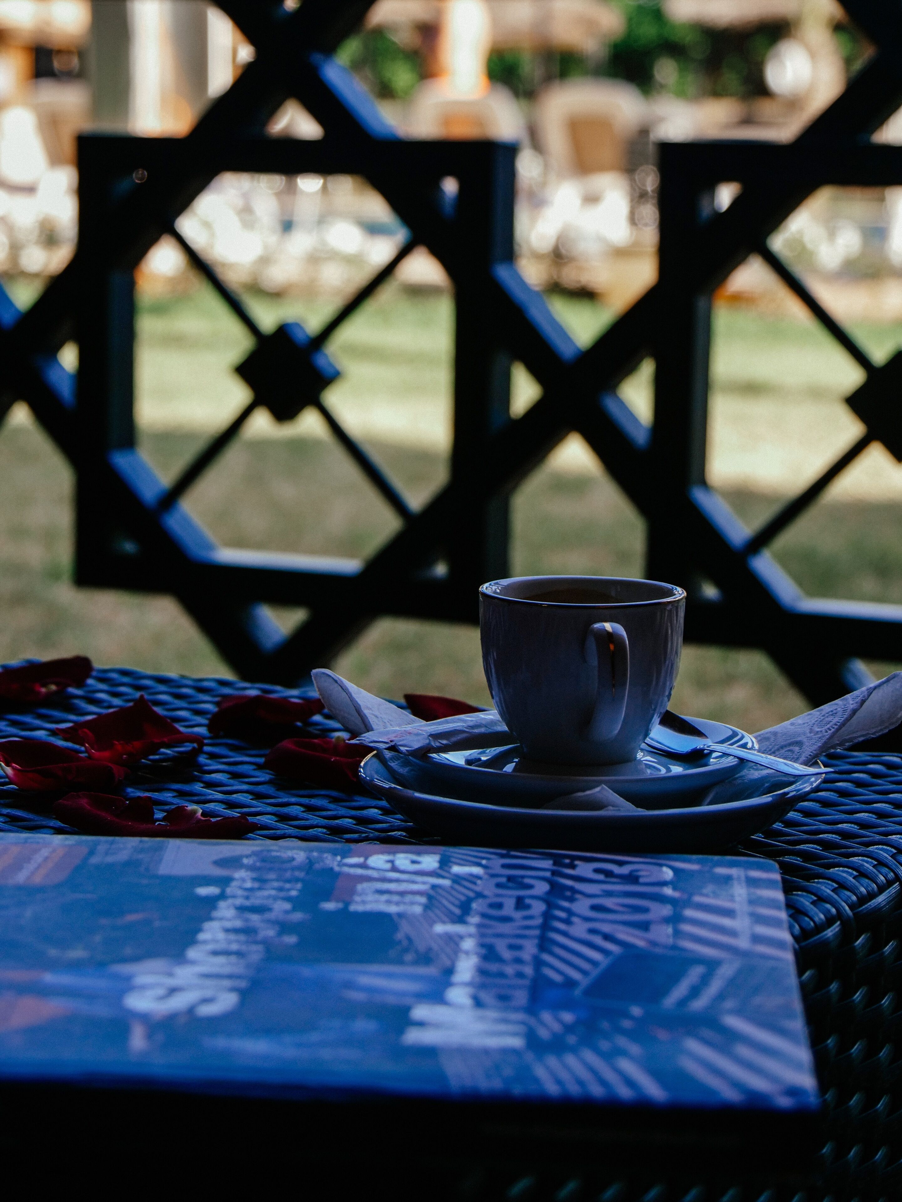 Foto - Club Paradisio