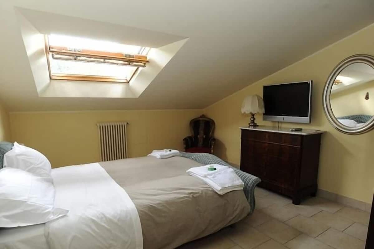 A bedroom with a bed, a television, a dresser, a mirror, and a skylight.