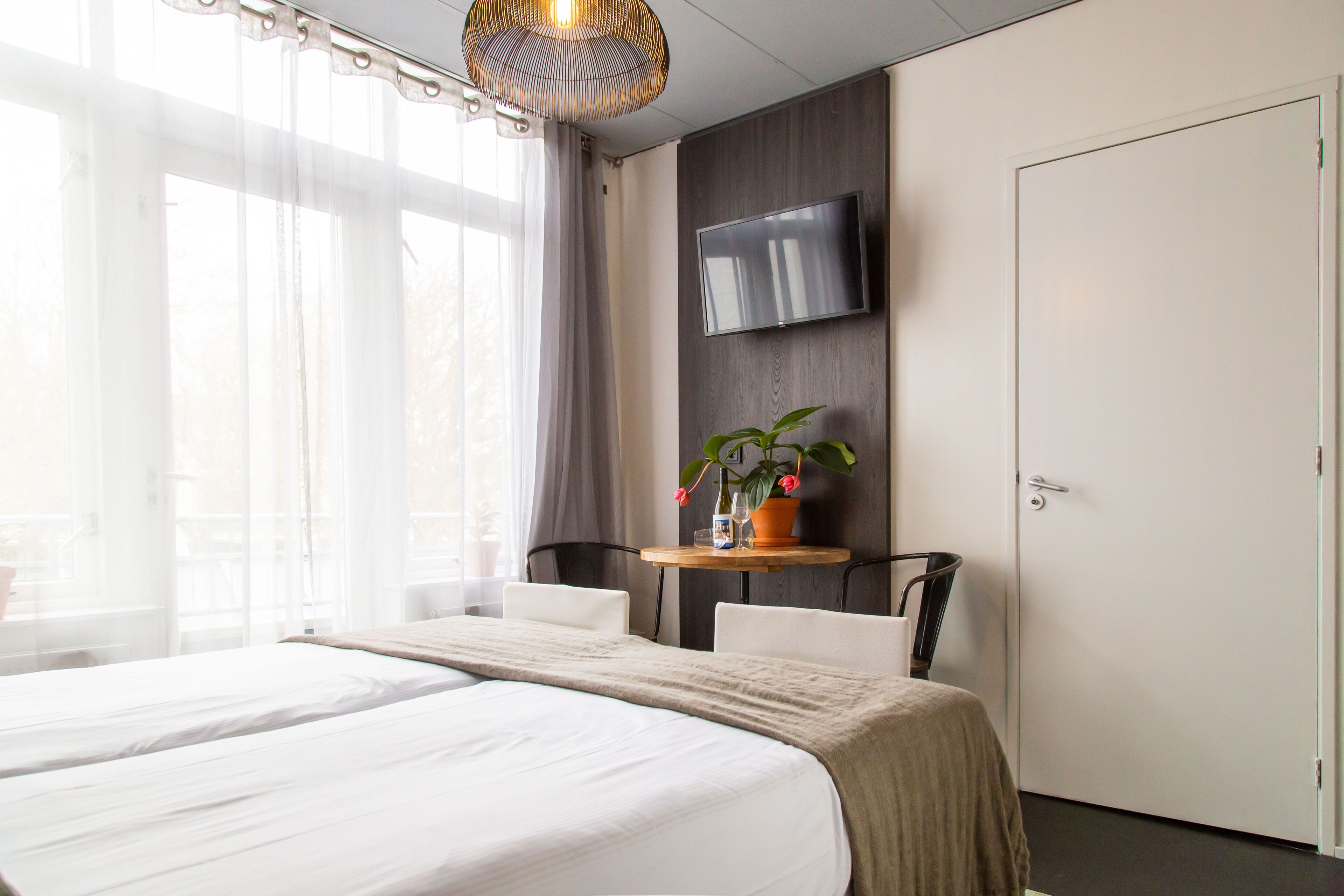 Una habitación de hotel con una cama grande, un televisor montado en la pared, una mesita con una planta y una puerta.