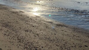 Une plage avec une jetée en bois qui s’avance dans l’eau, un ciel dégagé et le soleil qui se reflète sur la surface de l’eau.