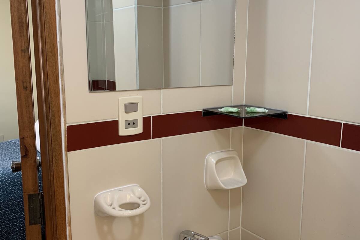 shower, free toiletries, towels