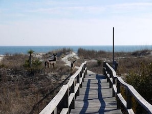 Un muelle de madera que conduce a la playa, con vista despejada al océano y dunas.