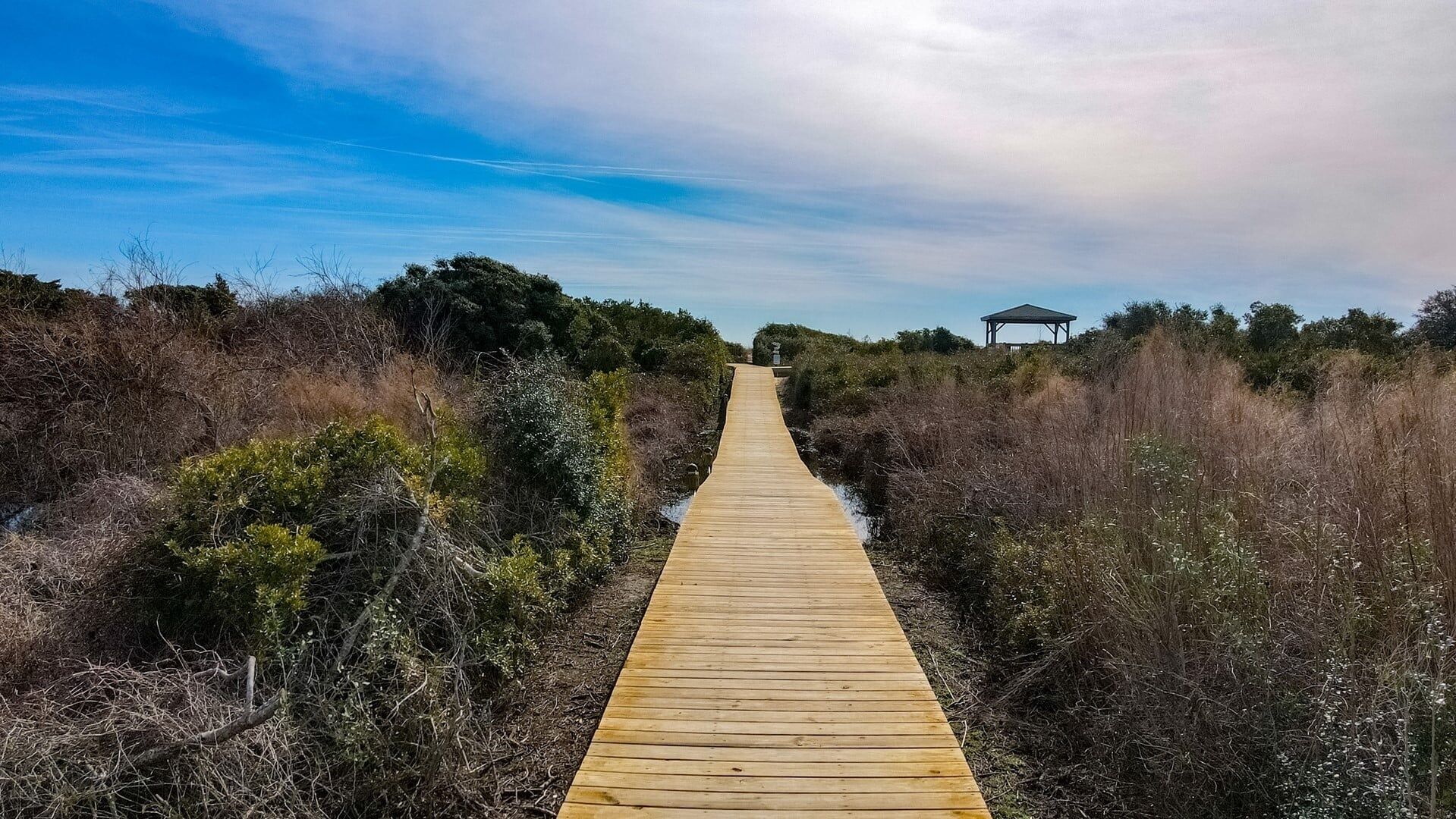 A wooden boardwalk leading to a gazebo in a natural setting.