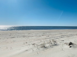 Uma praia com areia, grama rala e o oceano.