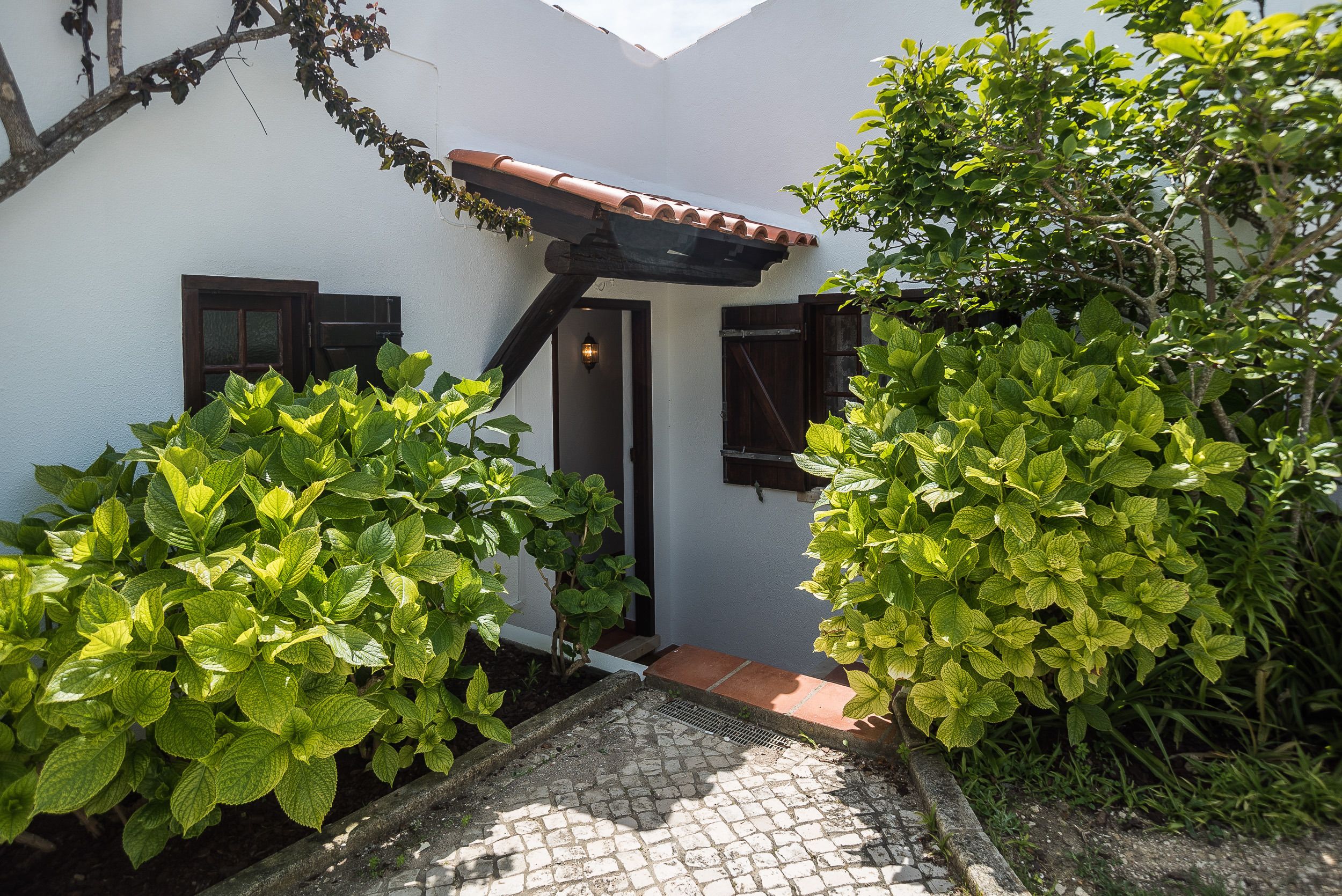 Un patio con un edificio blanco, techo de tejas y abundante vegetación.