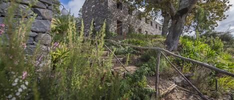 A stone building with a rustic appearance, surrounded by lush greenery and a clear sky.