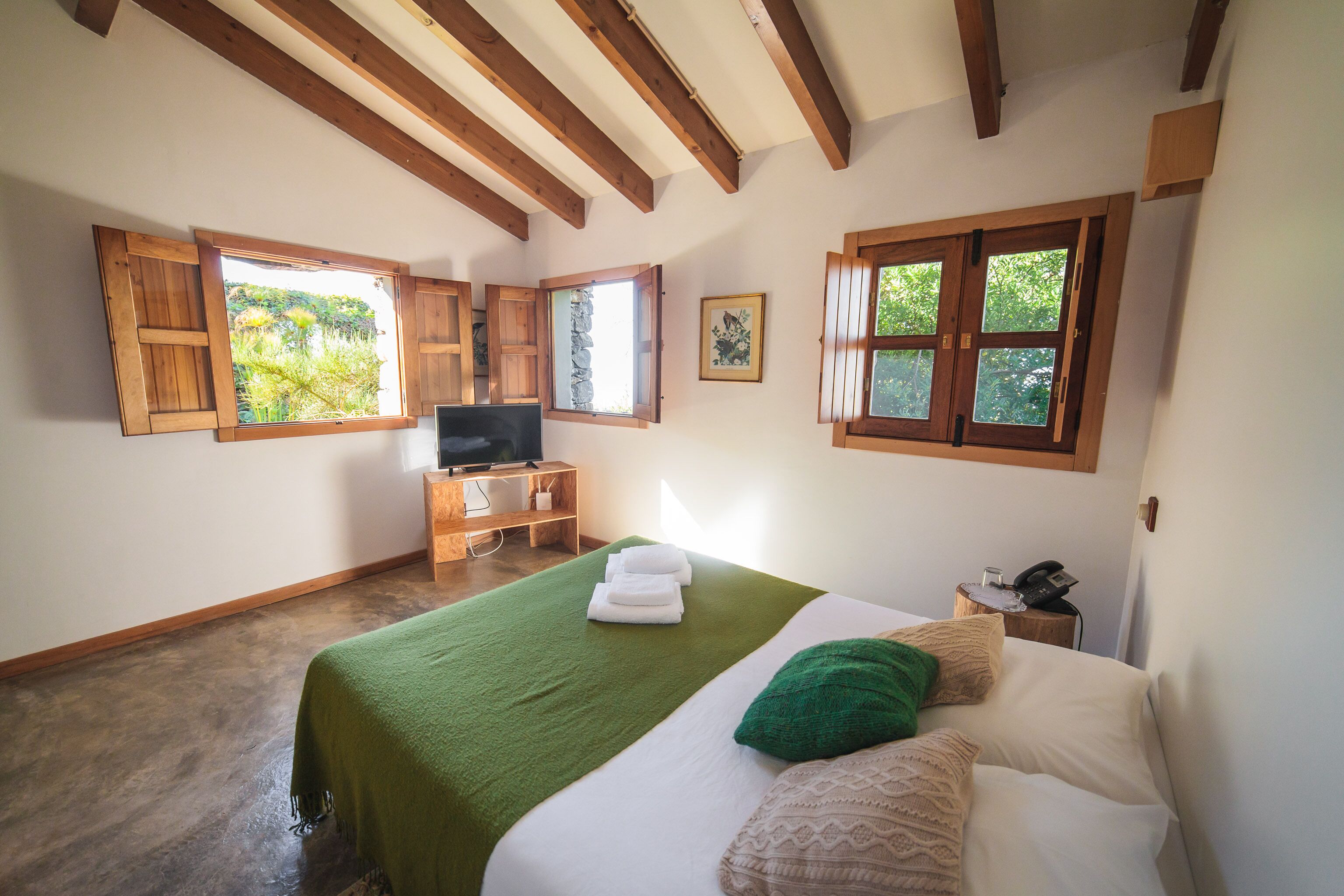 A bedroom with a bed, green and white bedding, wooden beams, a TV, a wooden nightstand, and a window with a view of greenery.
