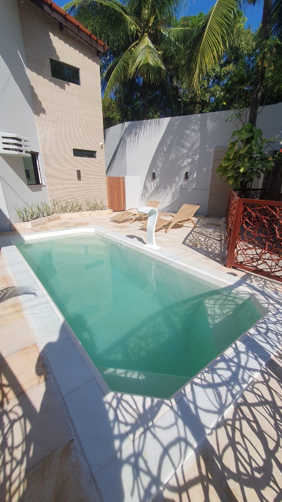 A swimming pool with a white edge, surrounded by a tiled deck and a palm tree.