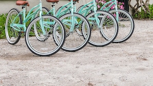 A row of turquoise bicycles parked in front of a building with brown-framed windows and a white facade. - Seven Hills Inn (Lenox)