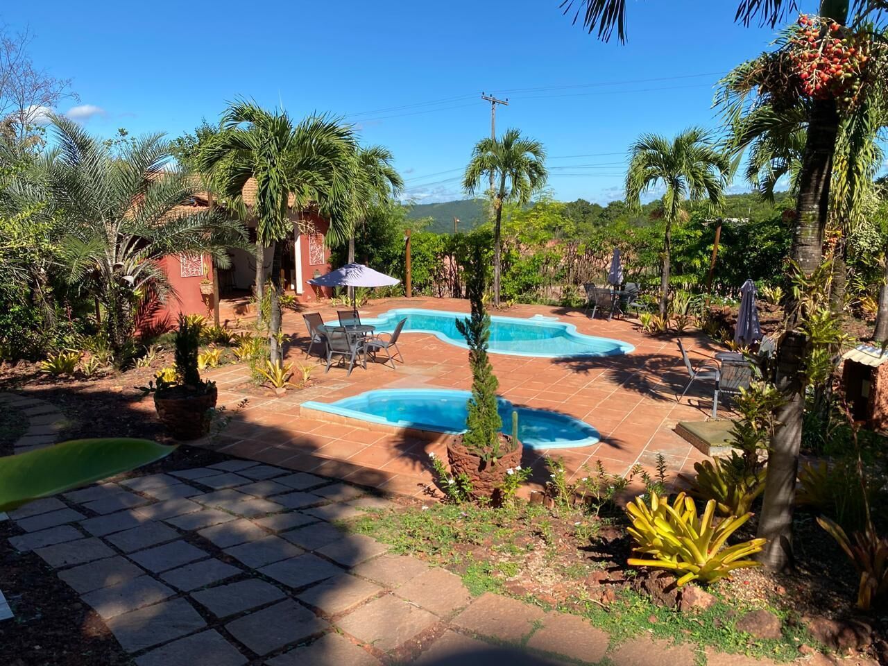 A backyard with a swimming pool, patio furniture, and various plants.