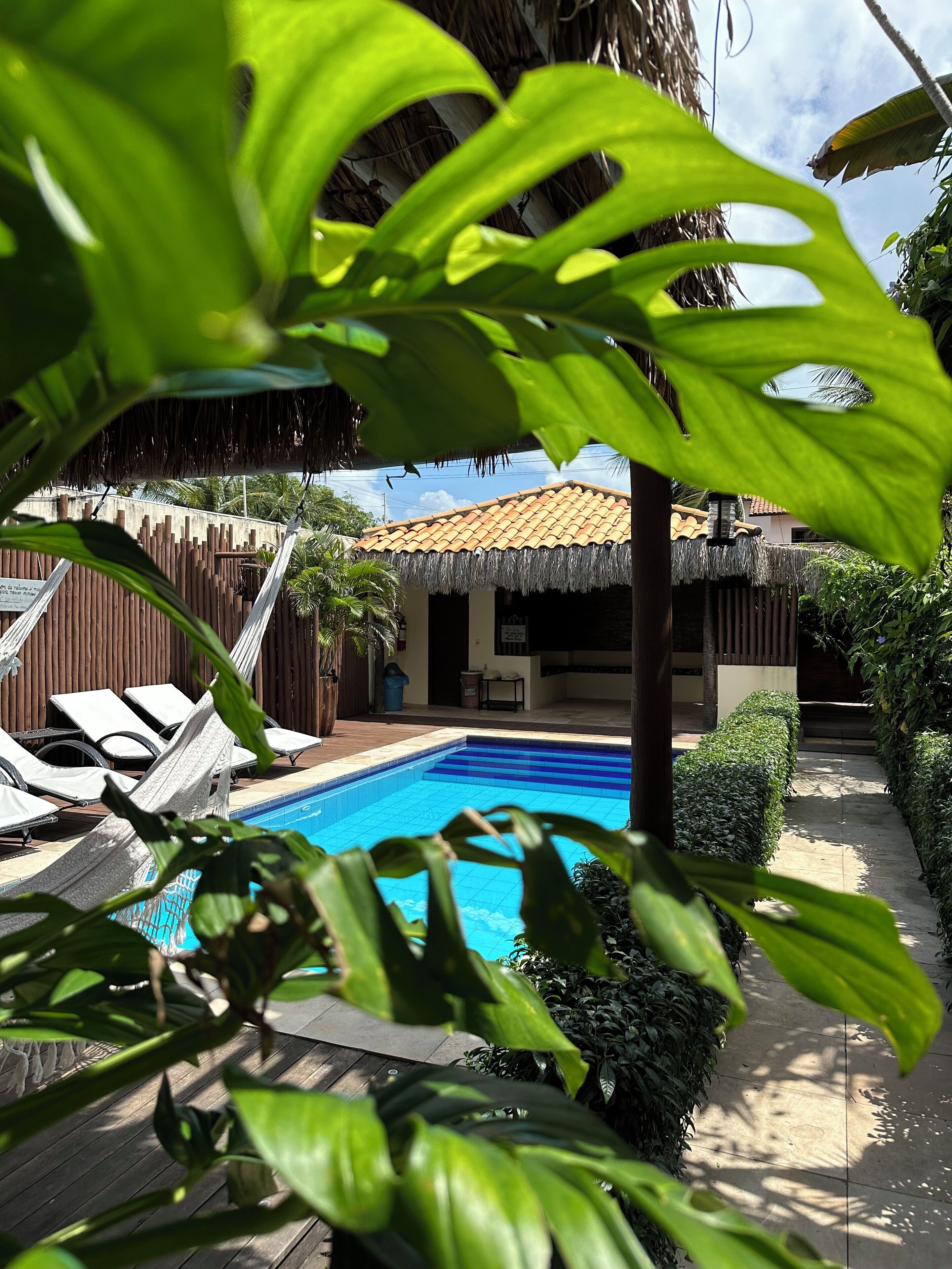 A swimming pool with lounge chairs, a thatched-roof structure, and tropical vegetation.
