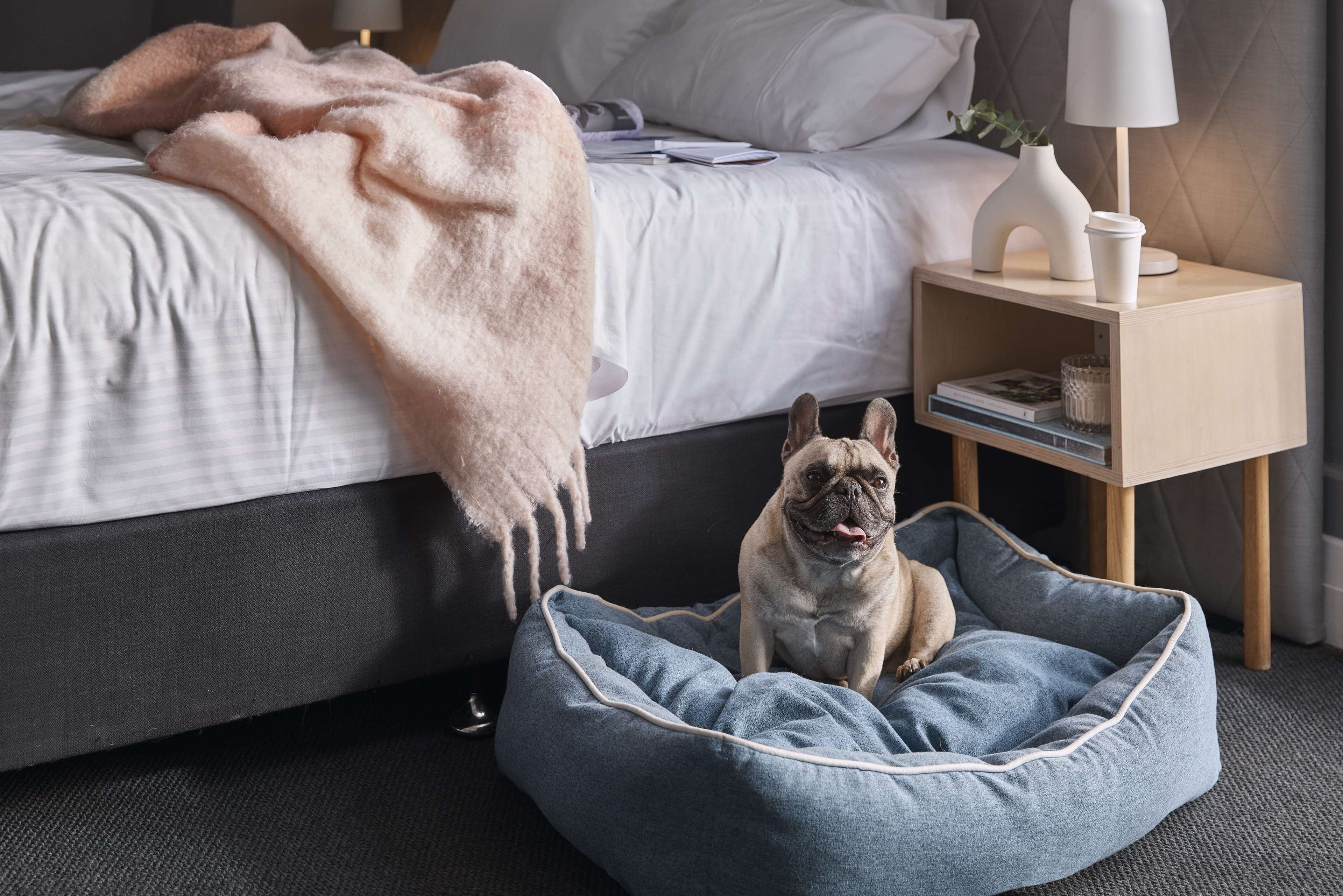 A bedroom with a bed, a bedside table with a lamp, a small dog bed, and a blanket on the bed.