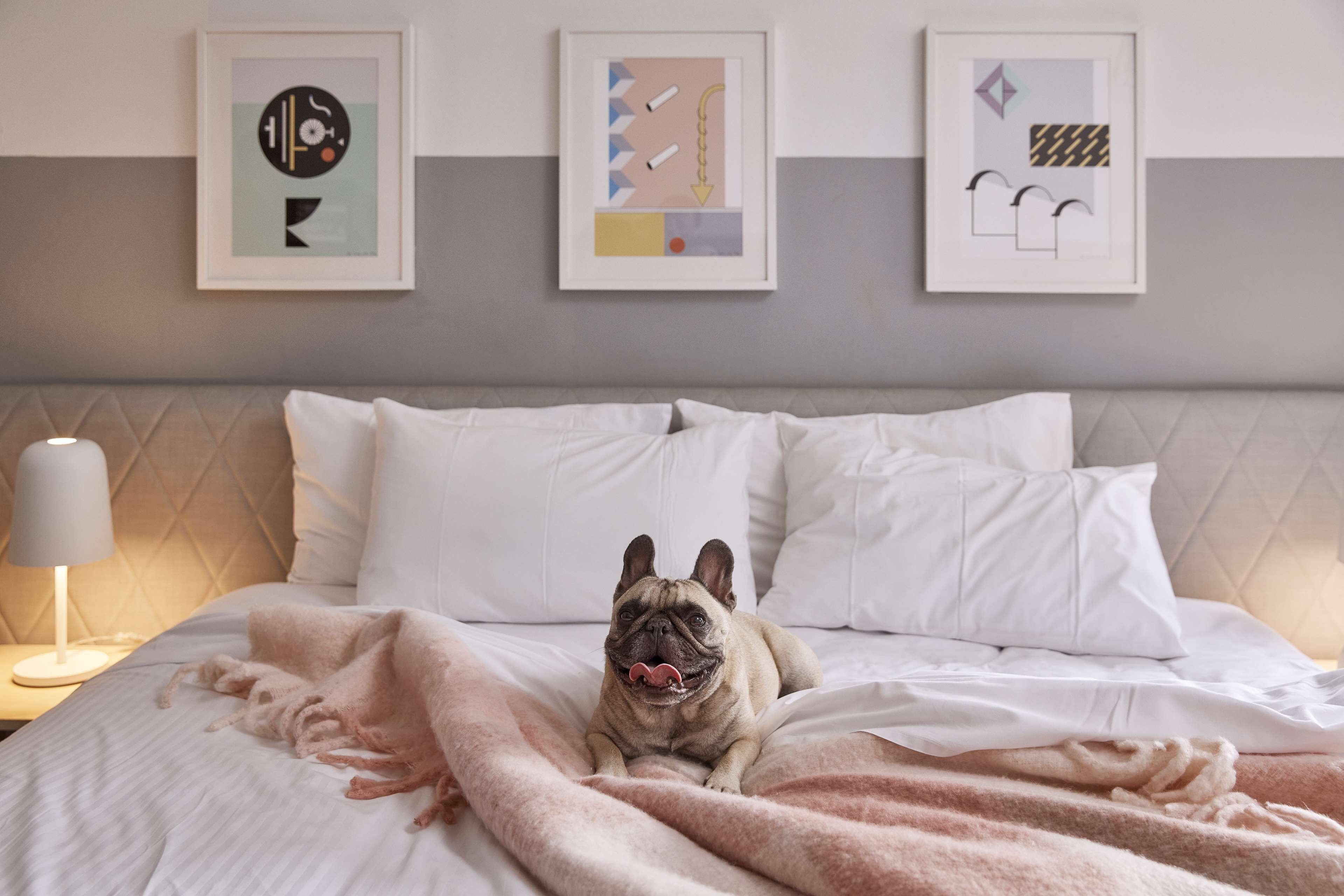 Premium bedding, soundproofing, iron/ironing board, free WiFi