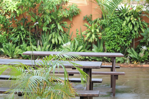 BBQ/picnic area