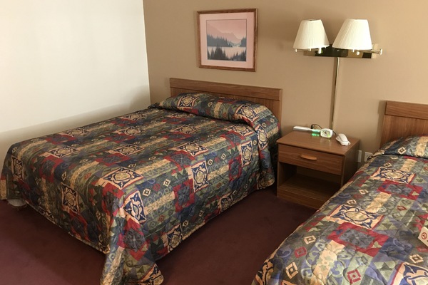 Premium bedding, desk, laptop workspace, WiFi (free)