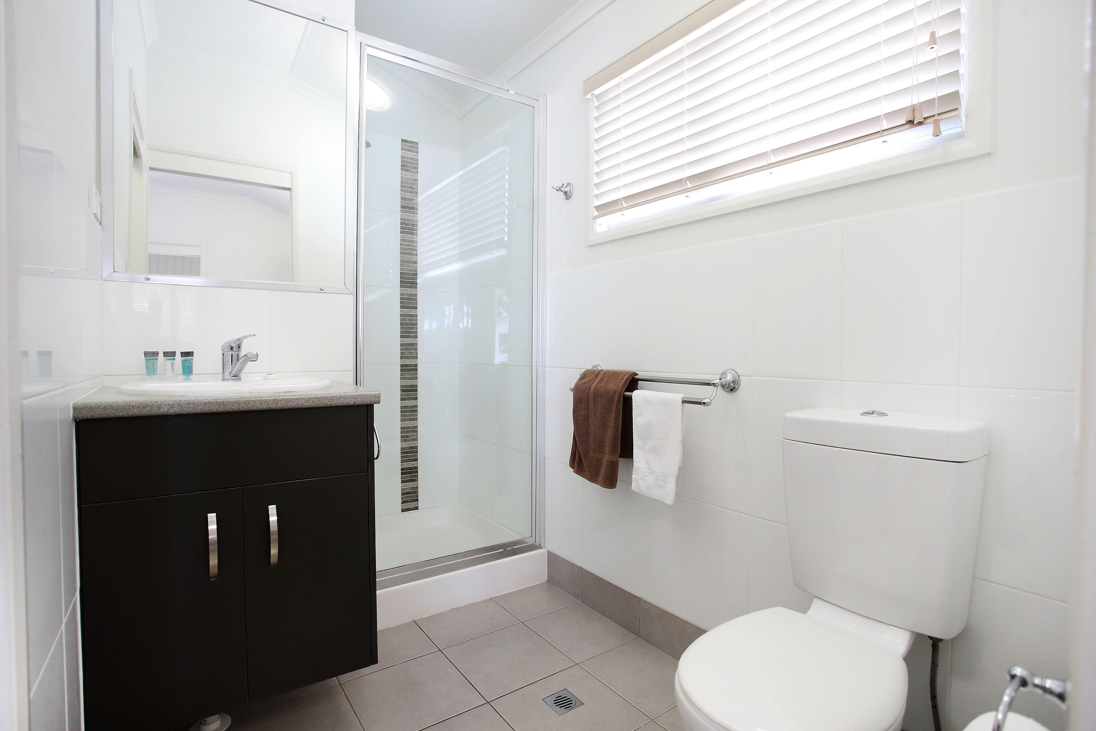 A modern bathroom with a glass shower enclosure, a white toilet, and a dark-colored vanity.