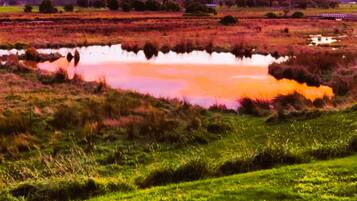 Blue Wren Cottage | View from room