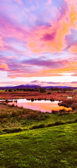 Blue Wren Cottage | View from room
