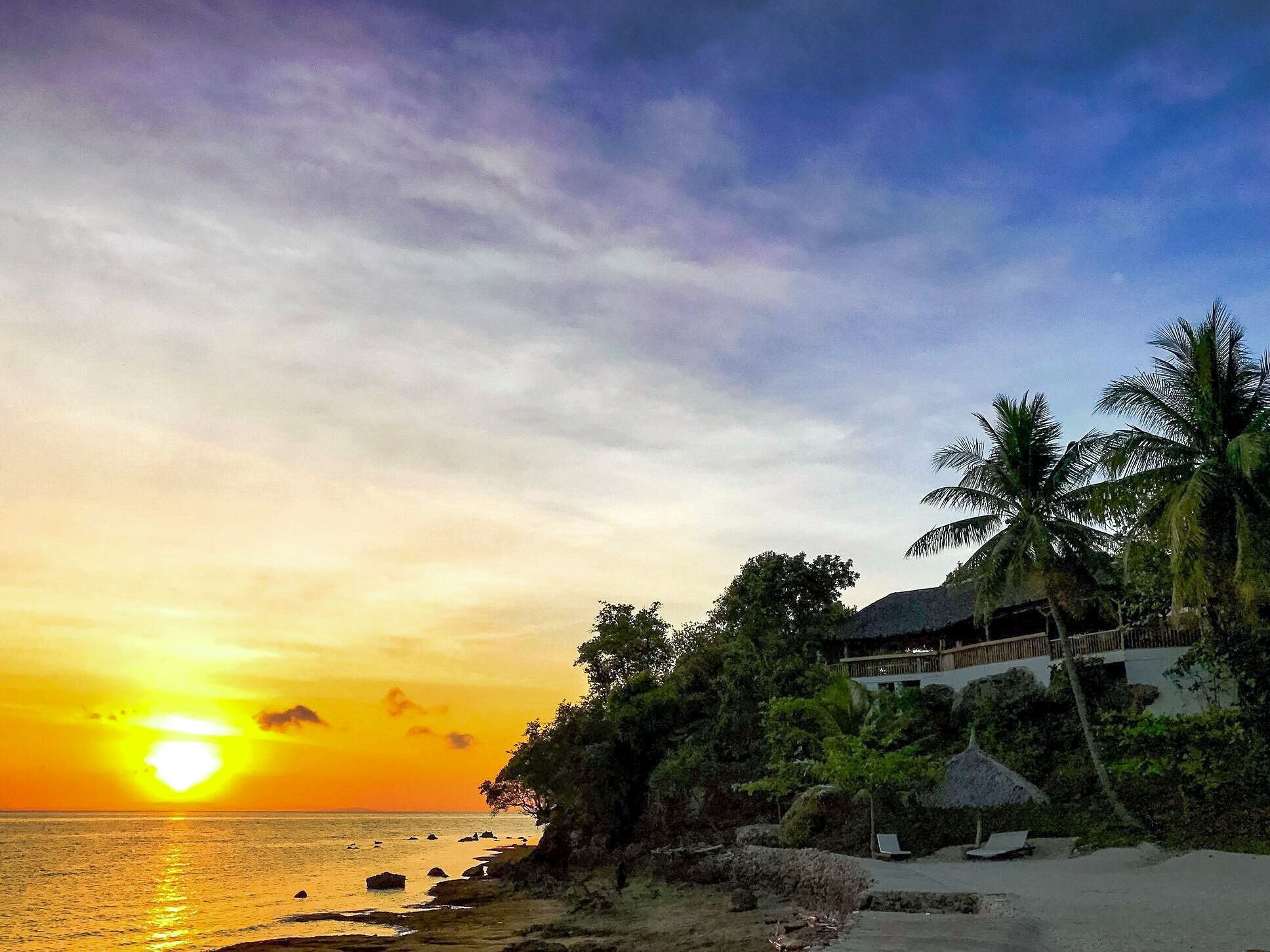 A beach with a sunset, palm trees, and a building with a thatched roof.