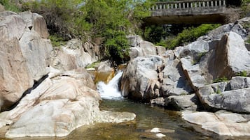 Natural pool
