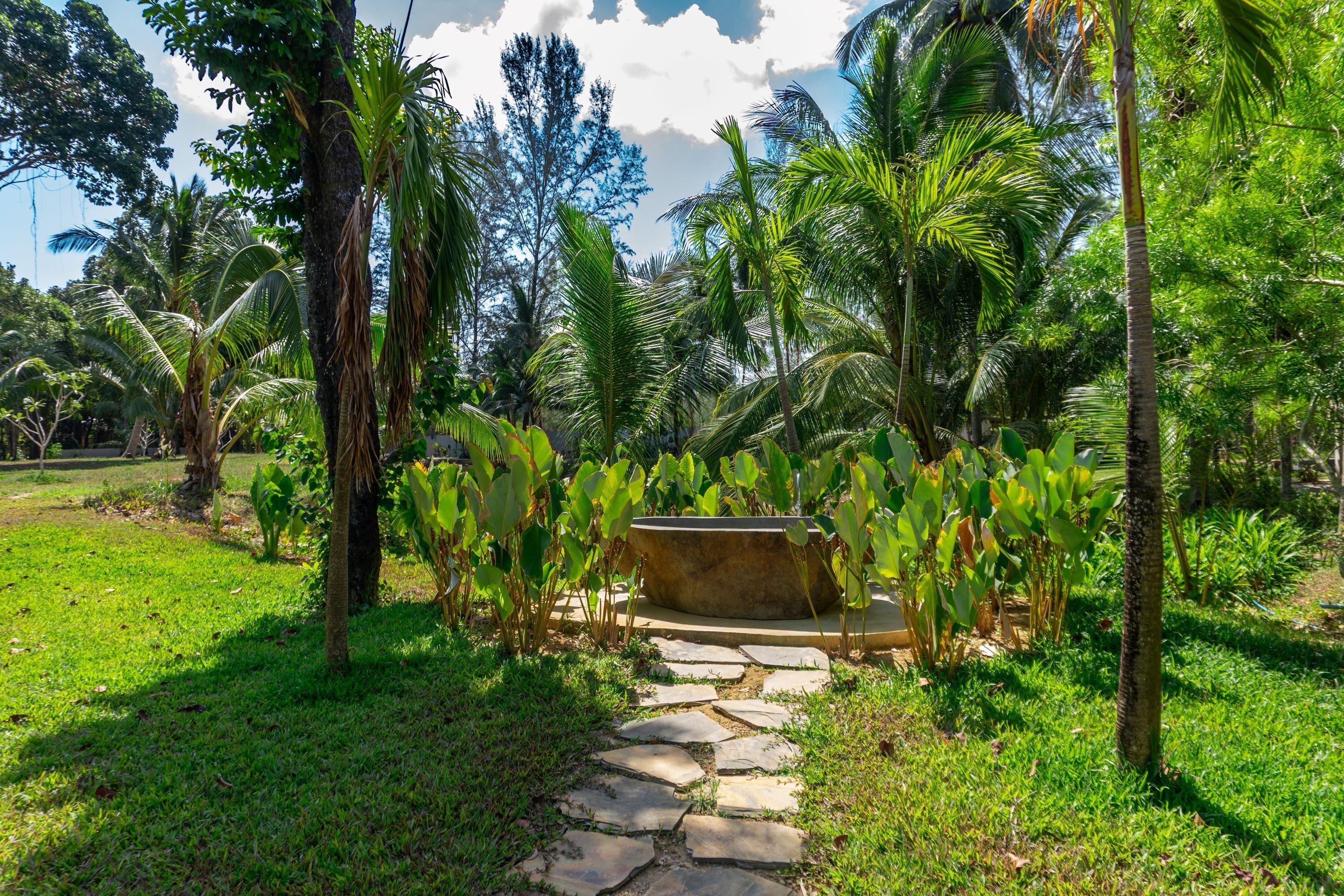 A stone pathway leading to a large planter surrounded by lush greenery and tall trees.