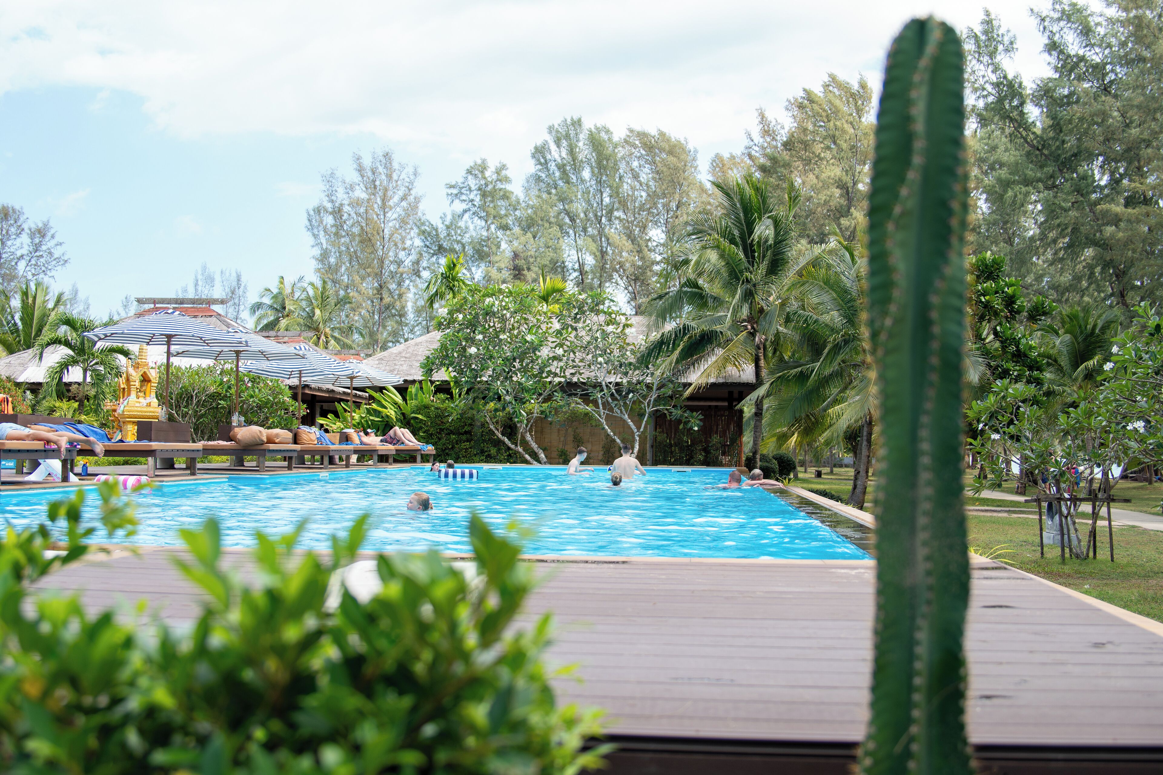 2 室外游泳池，06:00 至 20:00 开放，池畔遮阳伞，日光浴躺椅