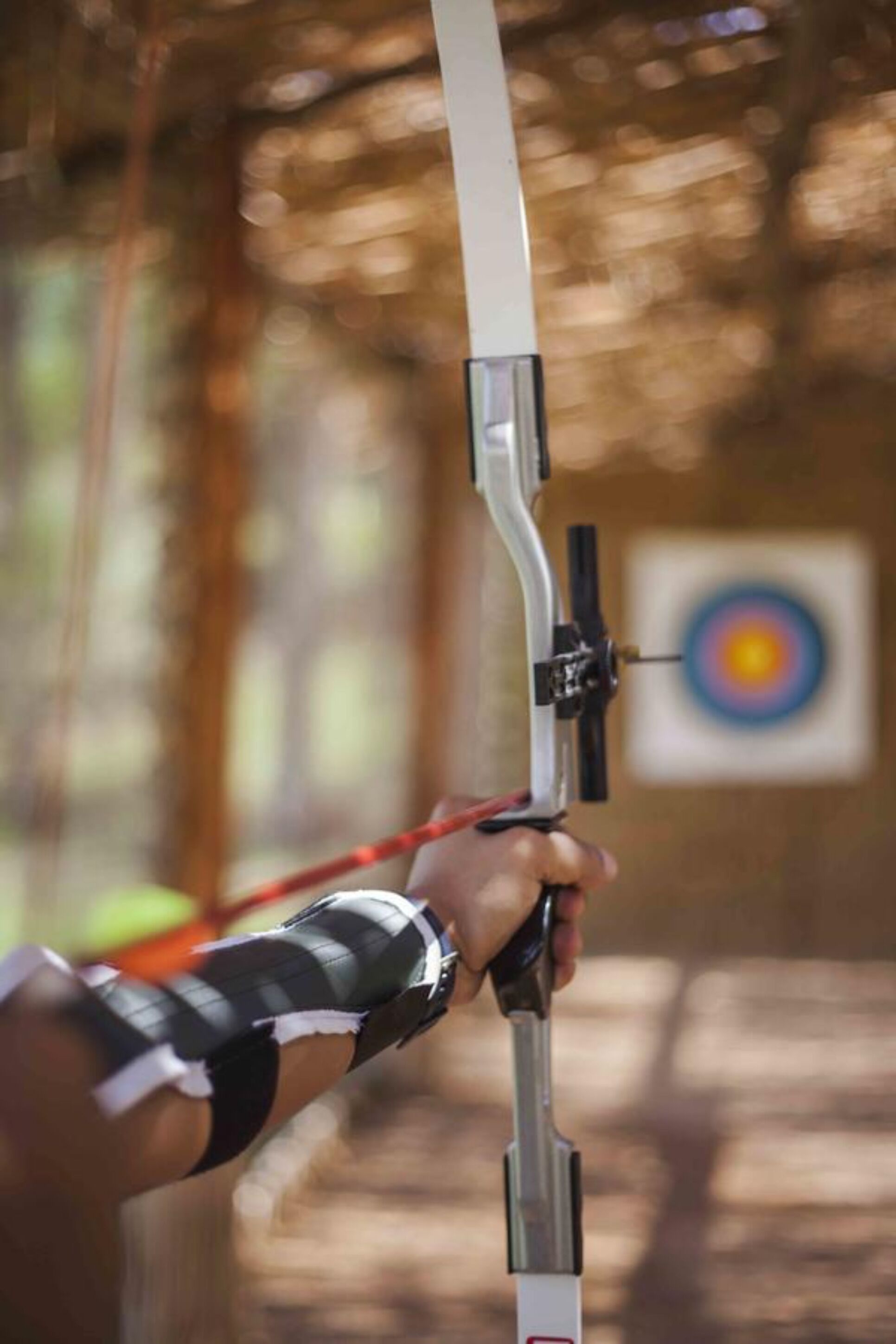 A bow and arrow in hand, aimed at a target with concentric circles.