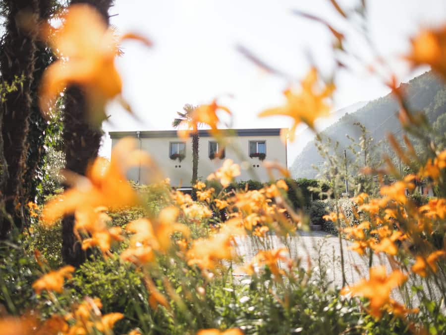 Un edificio de techo plano, rodeado de vegetación y colinas.
