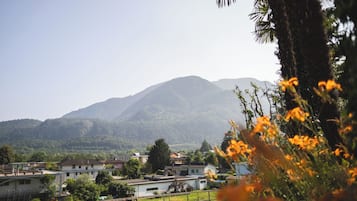 Zona residencial con casas, una montaña al fondo y una palmera en primer plano.