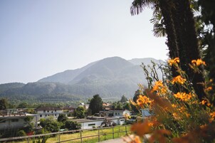 Zona residencial con casas, una montaña al fondo y una palmera en primer plano.