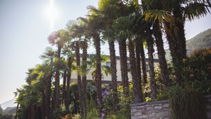Jardín ajardinado con palmeras, un muro de piedra y diversas plantas.
