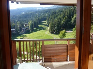 Apartment, 1 Schlafzimmer | Terrasse/Patio