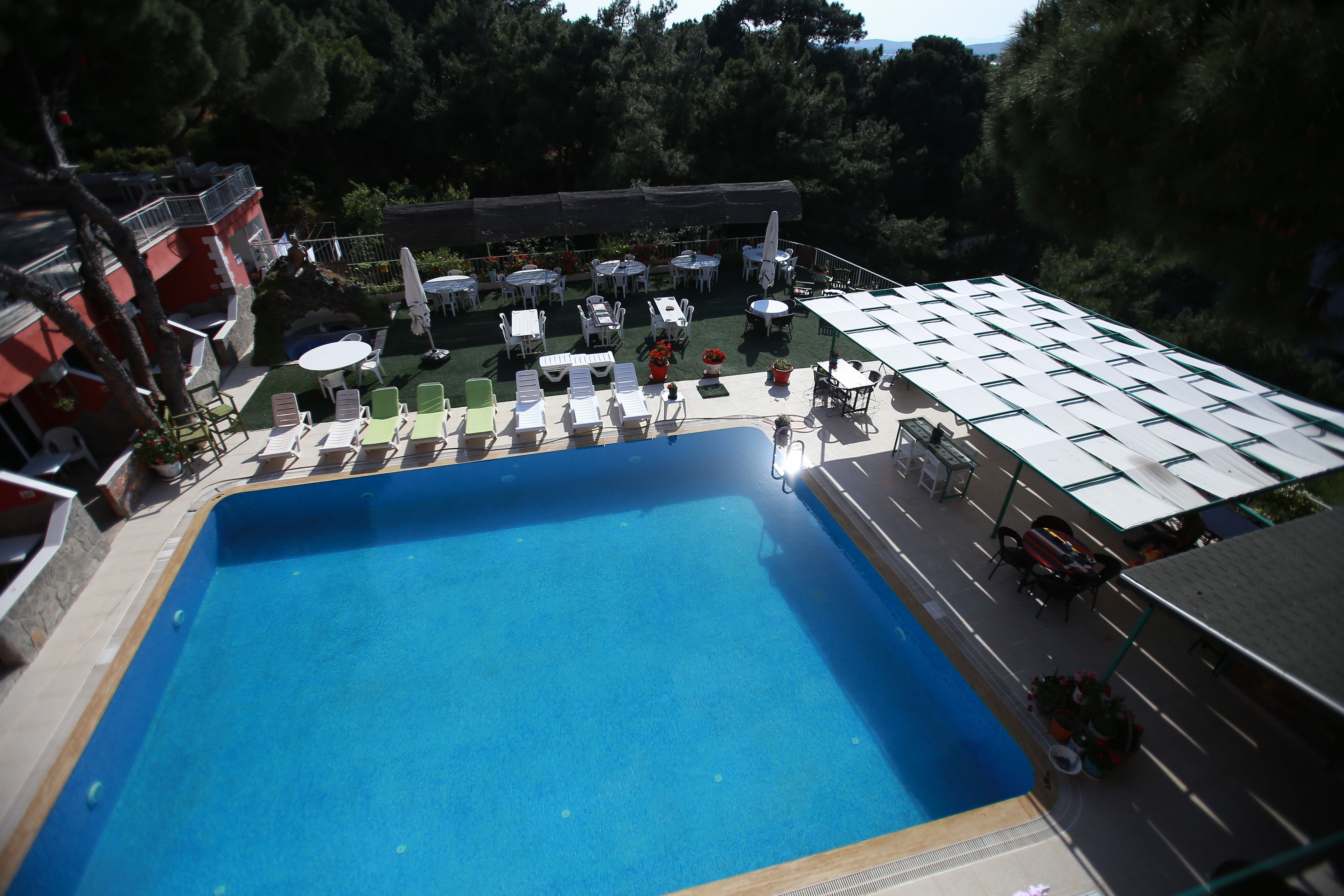 A swimming pool with lounge chairs and umbrellas, surrounded by trees and buildings.