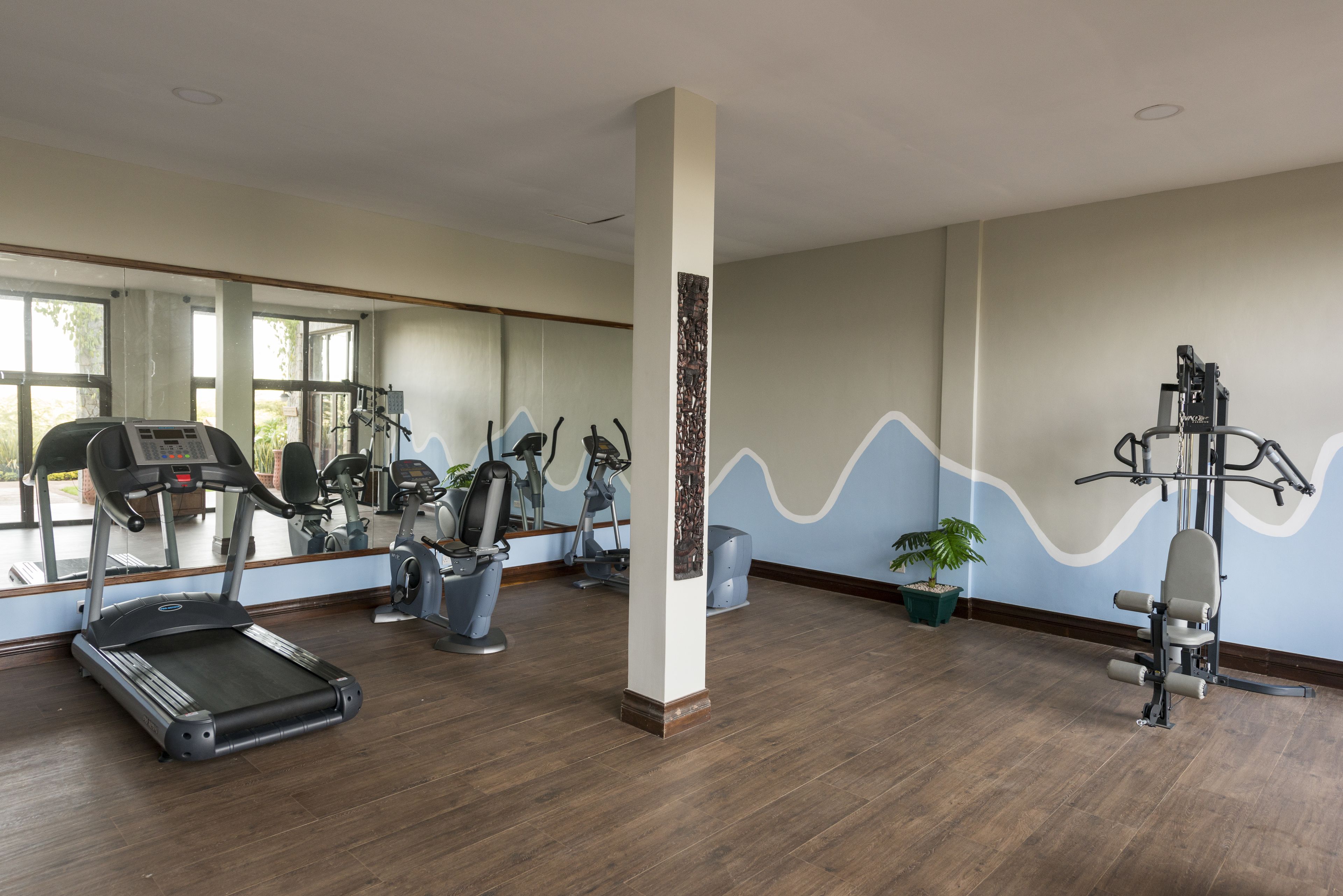 Gimnasium