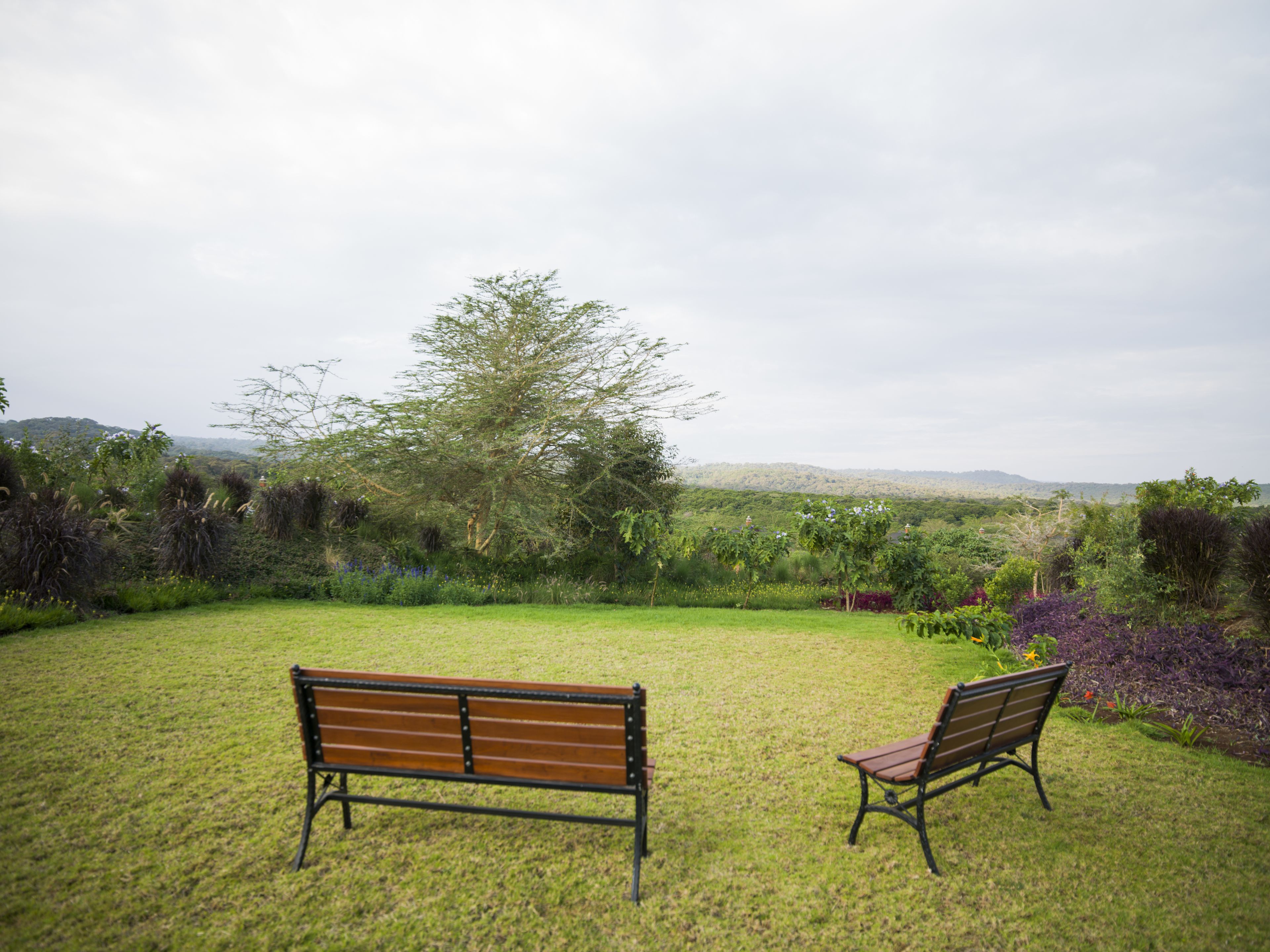 Two wooden benches facing a grassy area with a tree and a view of distant hills.