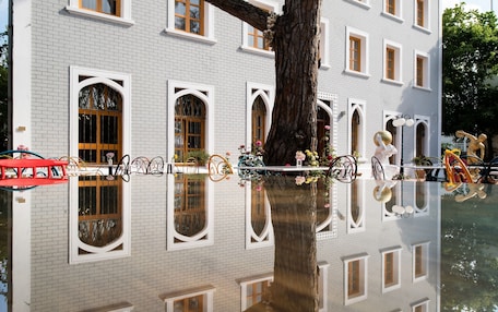 A building with white brick walls, multiple windows, and a large tree in front.