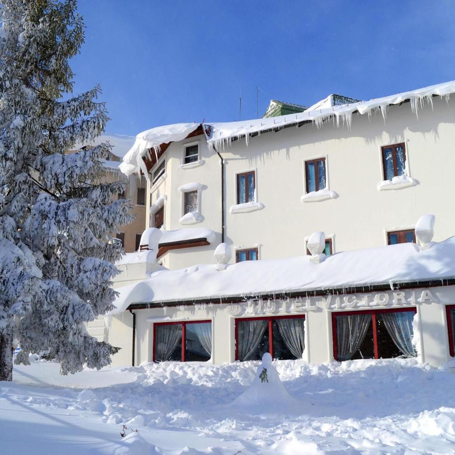 A hotel with multiple windows, a snow-covered roof, and a snow-covered tree in the foreground.