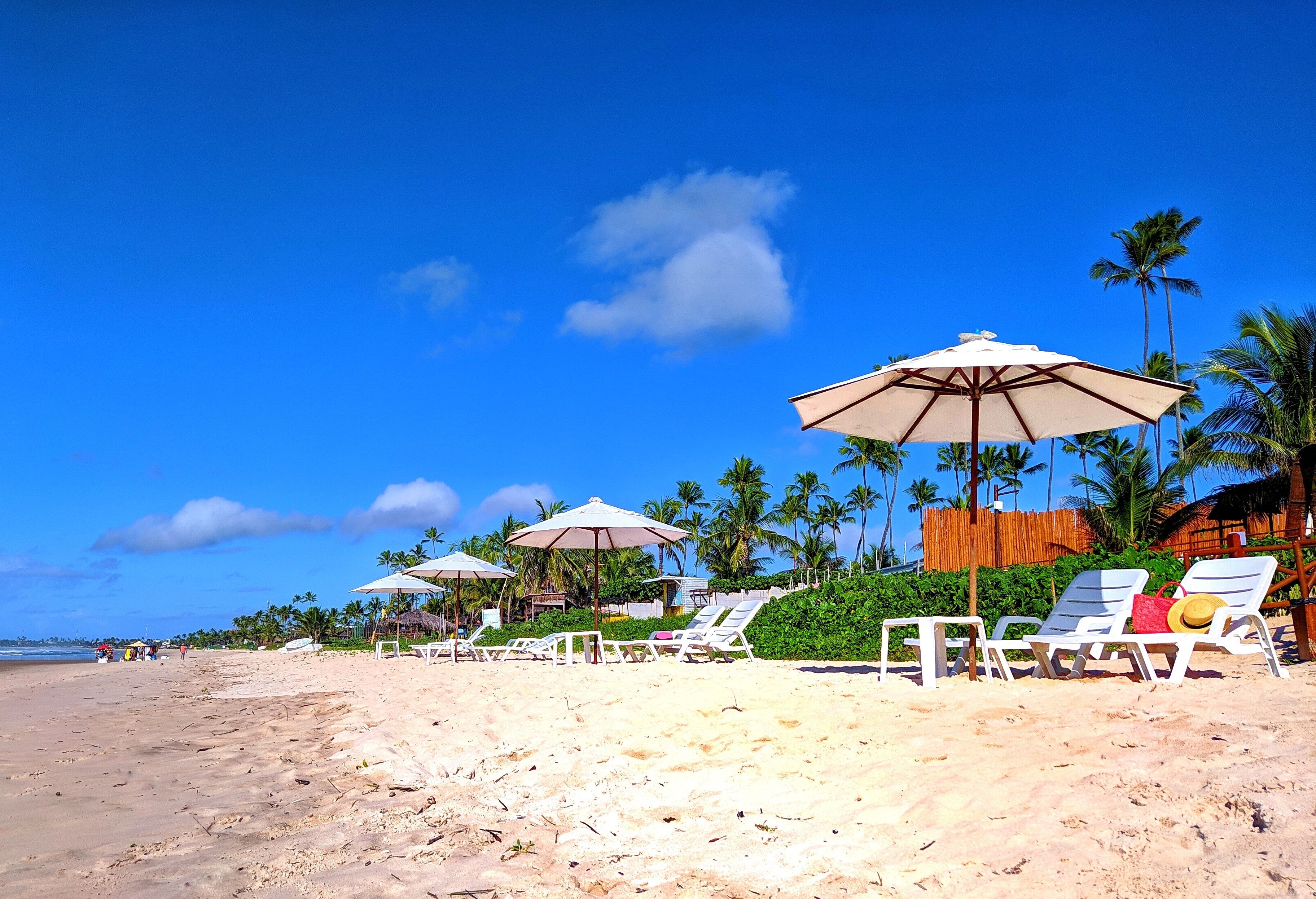 A beach with white lounge chairs and umbrellas, palm trees, and a wooden fence.