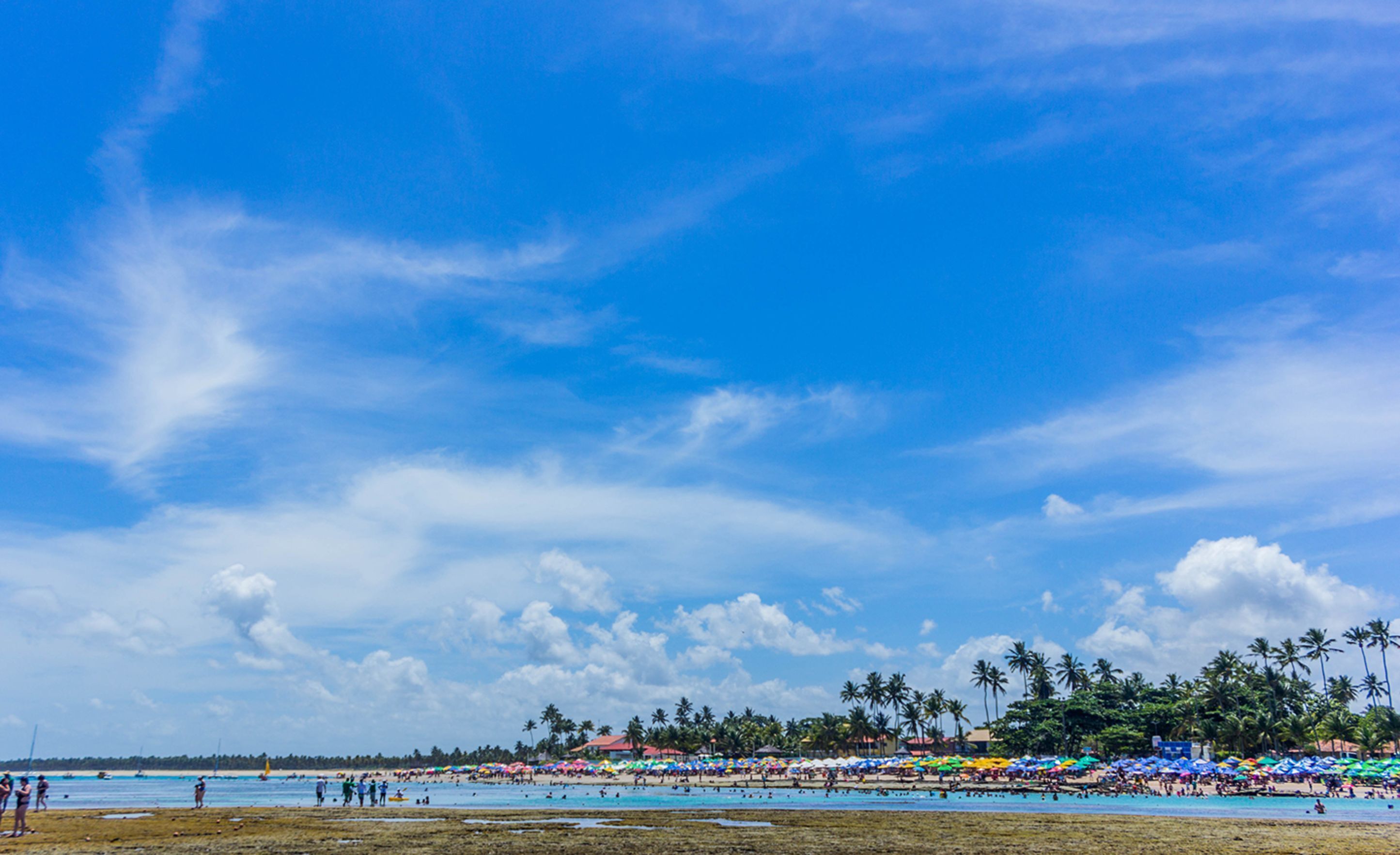 Een strand met mensen, parasols en palmbomen onder een blauwe lucht.